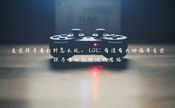 虚空掠夺者打野怎么玩,LOL:有没有大神指导虚空掠夺者的打野进攻思路